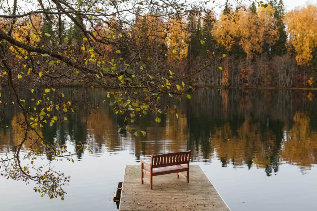 An empty bench facing a lake and forest near Aegviidu, Estonia. Signifies introspection and improvement of mental health.